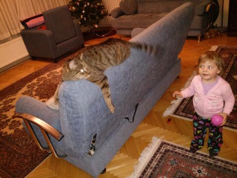Little girl looking at a cat sprawled on a couch by J.M. Diener | All Rights Reserved