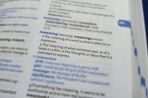 A dictionary with the word meaning highlighted, “The Dictionary Meaning” by J.M. Diener (CC-BY-NC-SA 4.0)