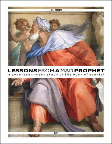 Diener - Lessons from a Mad Prophet - Cover