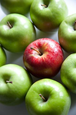 A red apple in the midst of green apples by Flazingo Photos | flickr (CC BY-SA 2.0)