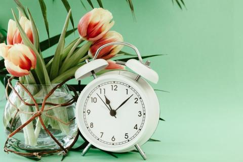 Tulips and an alarm clock by Kara Gebhardt | Lightstock | Used by Permission