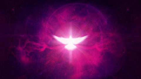 Shining silhouette of a dove on a pink-purple abstract background by Logos Bible Software