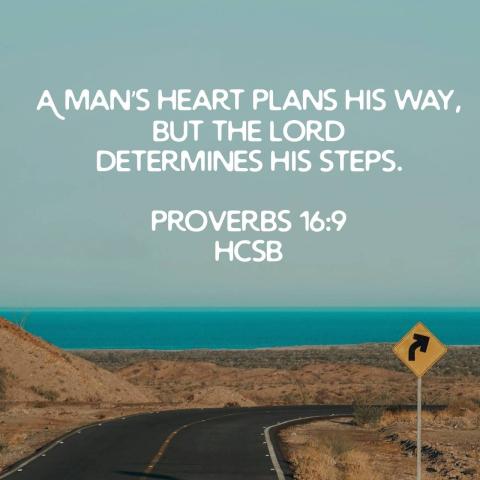 Graphical quote of Pr 16:9 | Generated with Bible app | Public domain